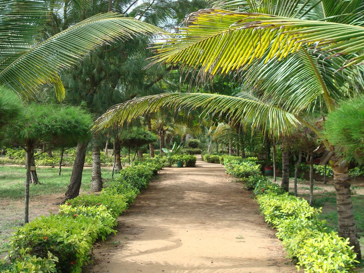 Hotel Village Vacances Awale Plage Grand-Popo Экстерьер фото